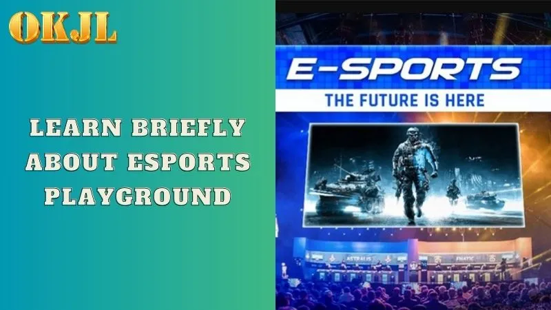 Learn briefly about Esports playground